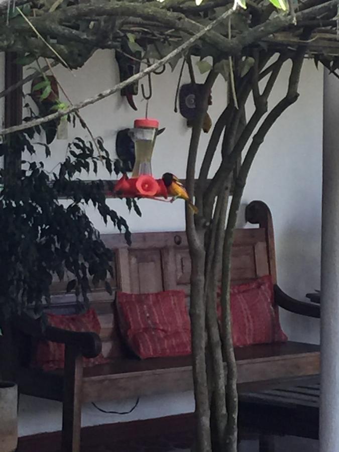 杜兰塔酒店 Cobán 外观 照片